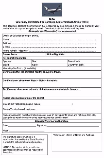 Vận chuyển vật nuôi: Health Certificate pet