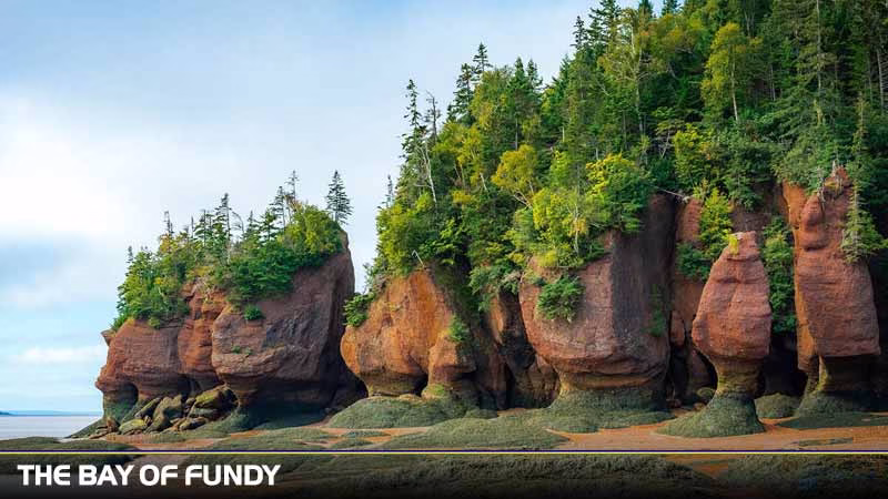 Du lịch New Brunswick