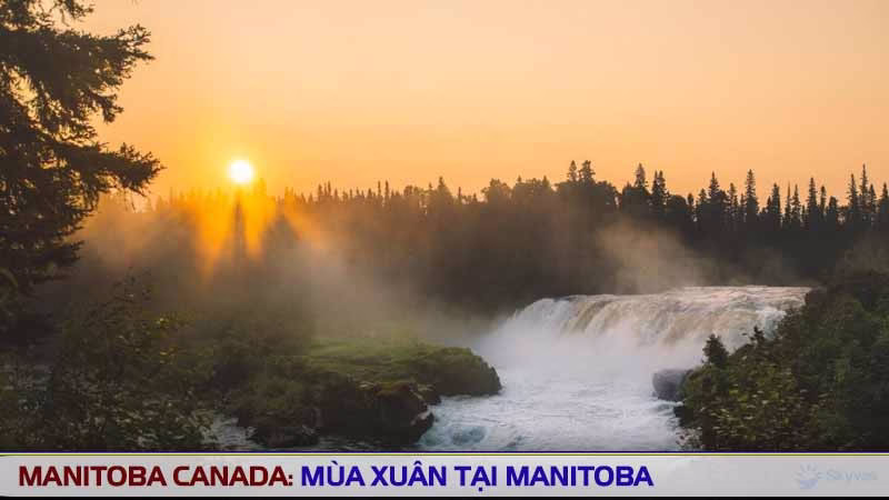 Thời điểm lý tưởng đi Manitoba