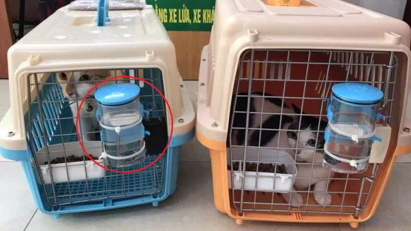 Lồng vận chuyển vật nuôi