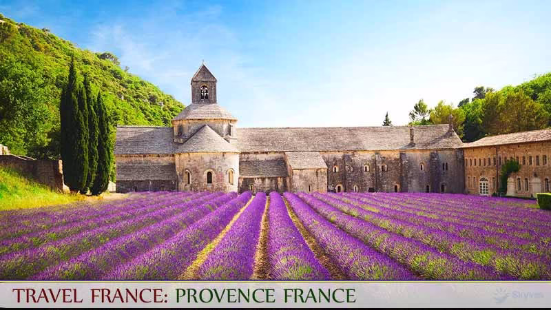 Vùng Provence – Thiên đường hoa oải hương miền Nam nước Pháp