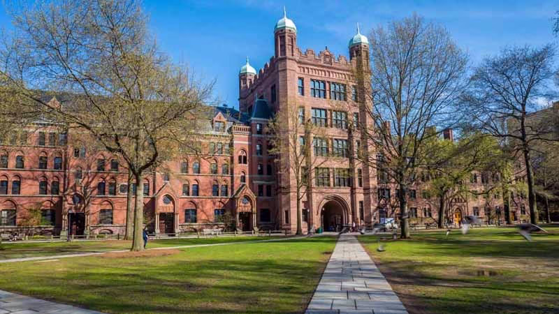 Yale University và Yale University Art Gallery – New Haven