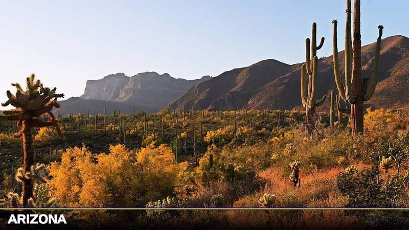 Vé máy bay đi Arizona