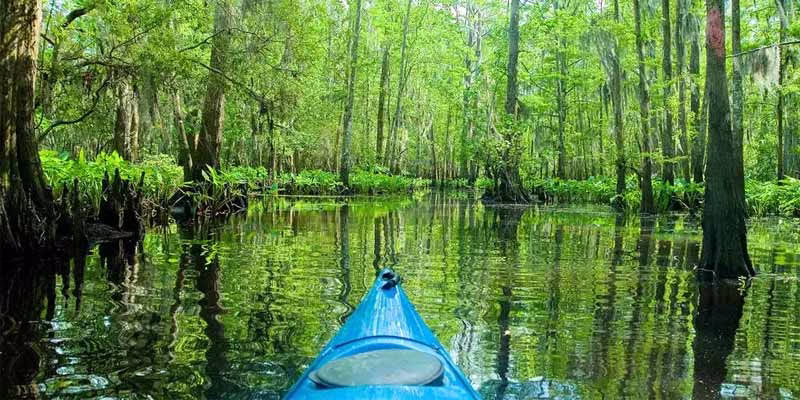 tiểu bang Louisiana