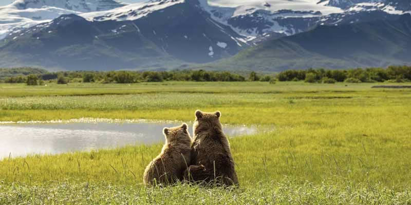 Vé máy bay đi Alaska