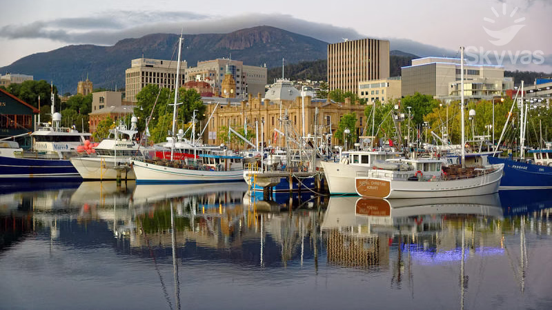 Vé máy bay đi Tasmania